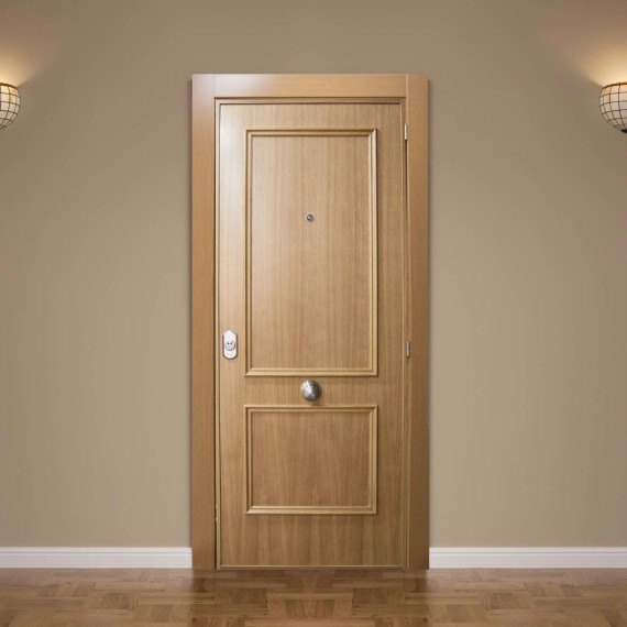 Modelo puerta madera